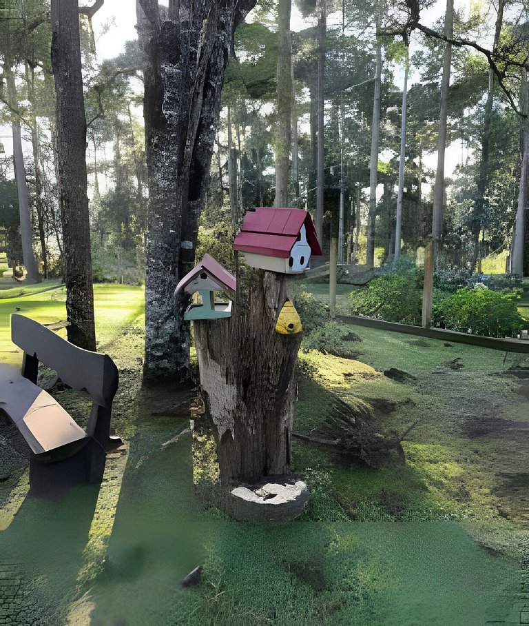 Casa dos Pássaros: Espaço e Conforto em Campo Alegre