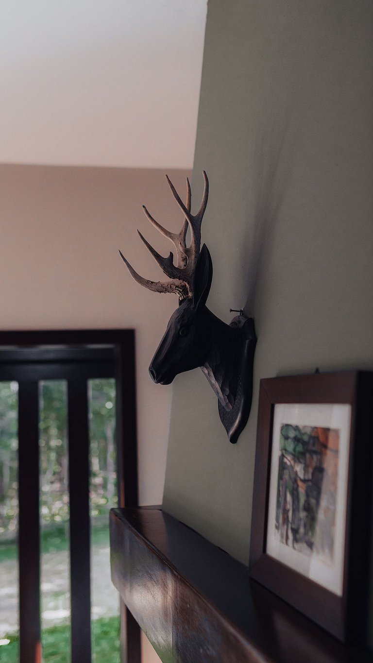 Bird House: Space & Comfort in Campo Alegre