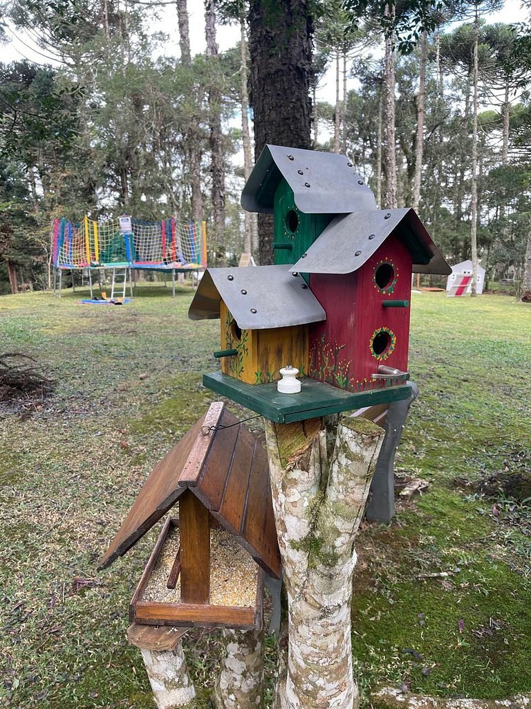 Casa dos Pássaros: Espaço e Conforto em Campo Alegre