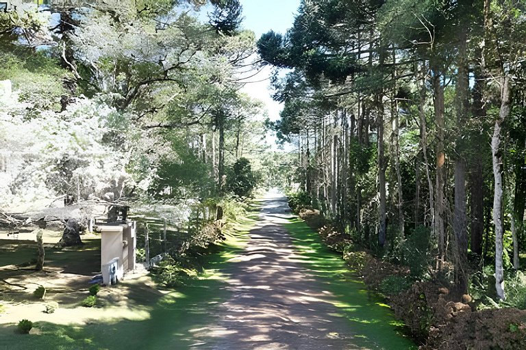 Casa dos Pássaros Serra Catarinense |CURTA153