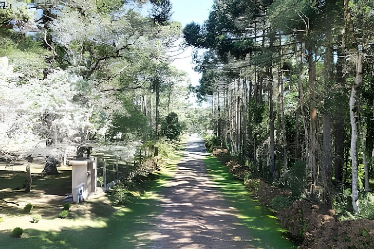Casa dos Pássaros Serra Catarinense |CURTA153