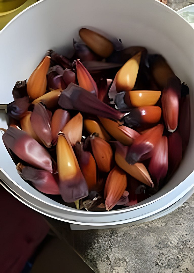 Casa dos Pássaros Serra Catarinense |CURTA153