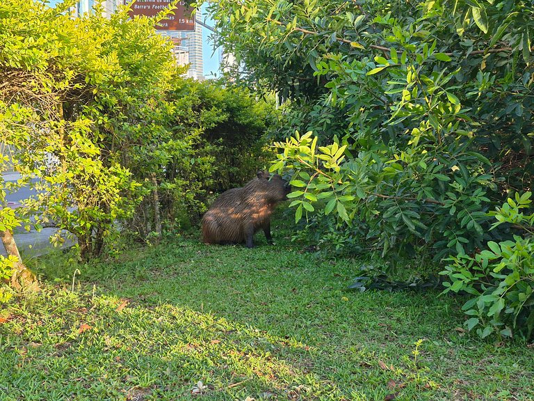 Quadra Mar Família & Amigos |4Q |CURTA227